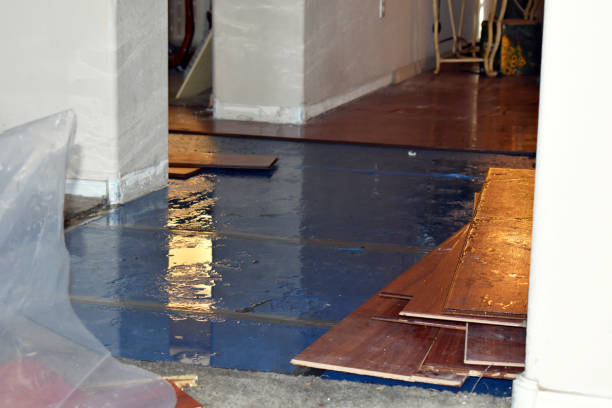 Professional Flood Damage Restoration technician working in Bruin, PA